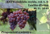 XXVII Niedziela Zwykła